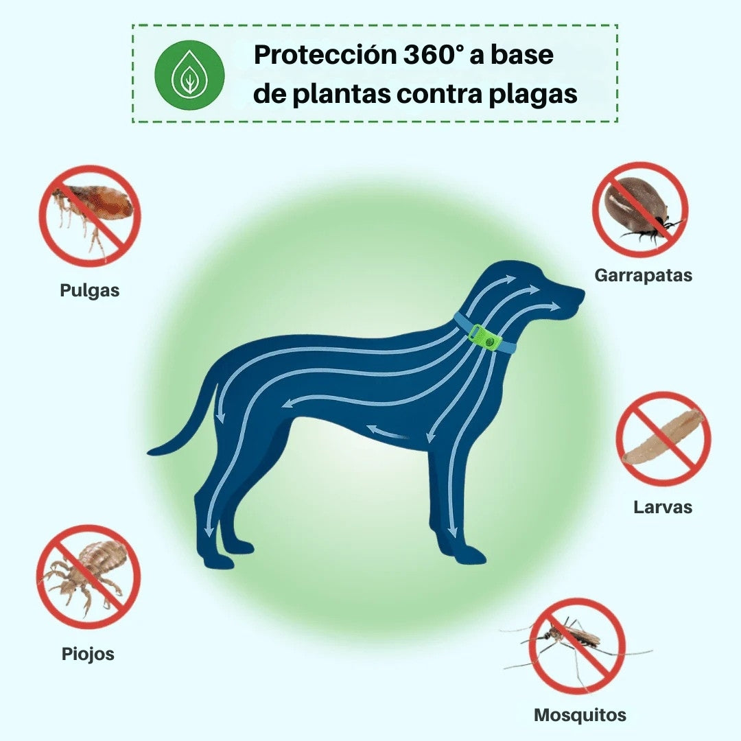 YomiPet™ Colgante – Protección Natural Contra Pulgas y Garrapatas Durante 12 Meses