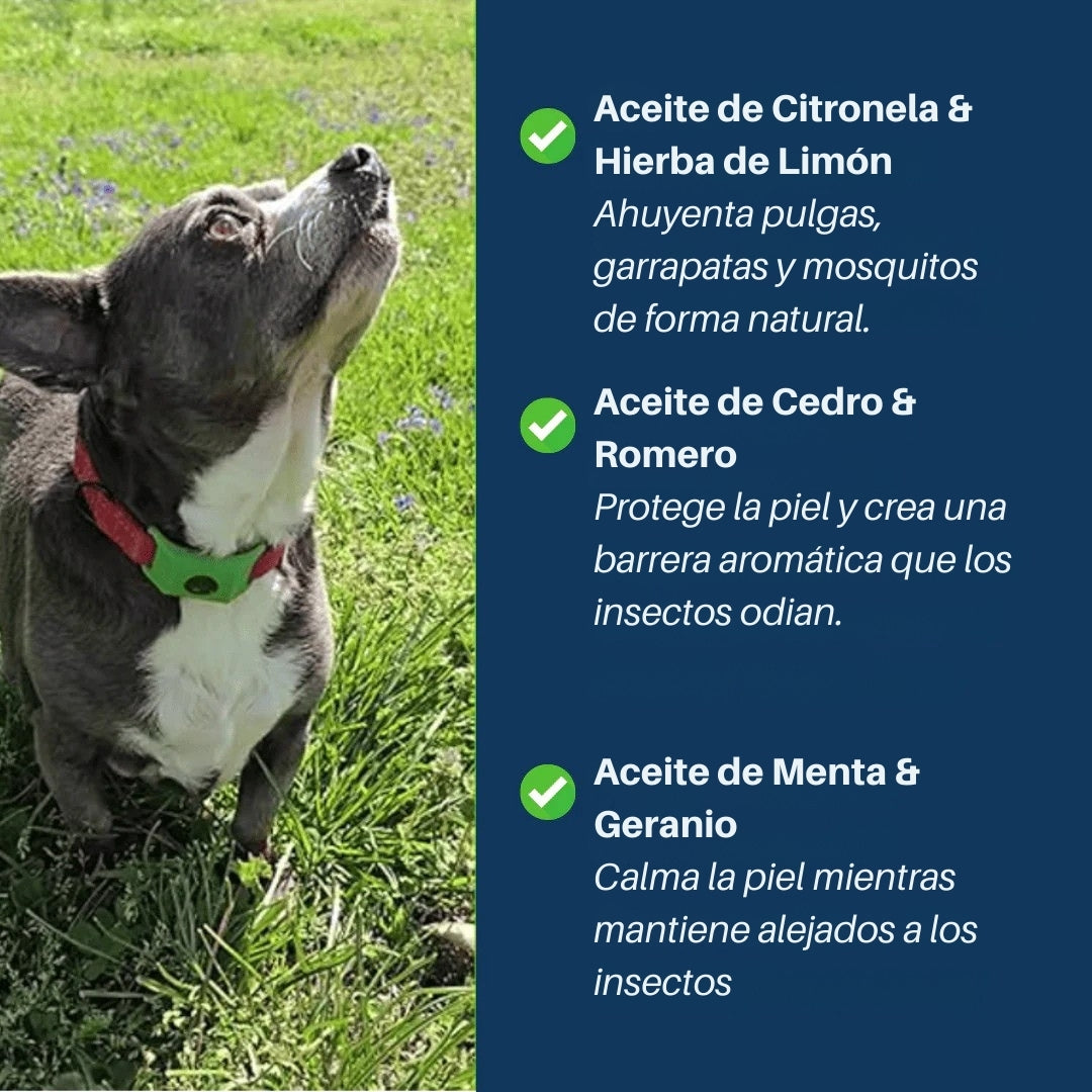 YomiPet™ Colgante – Protección Natural Contra Pulgas y Garrapatas Durante 12 Meses