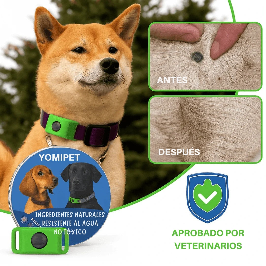 YomiPet™ Colgante – Protección Natural Contra Pulgas y Garrapatas Durante 12 Meses