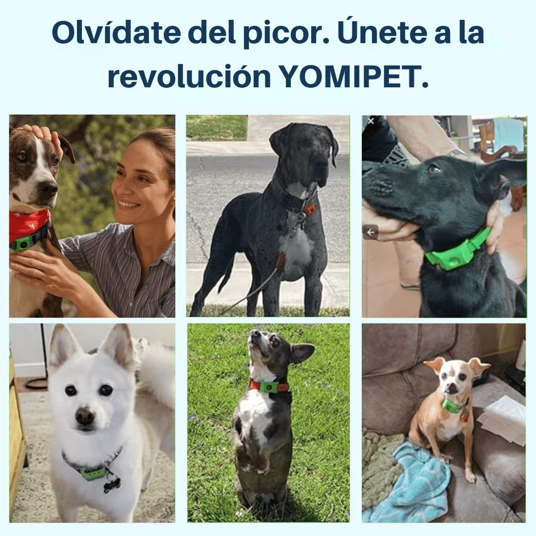 YomiPet™ Colgante – Protección Natural Contra Pulgas y Garrapatas Durante 12 Meses