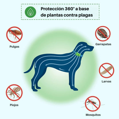 YomiPet™ Colgante – Protección Natural Contra Pulgas y Garrapatas Durante 12 Meses